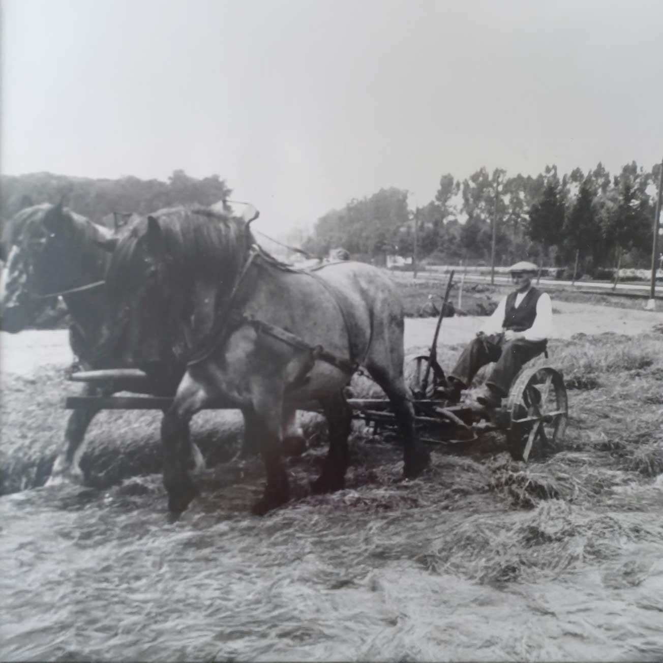 About us - Mertens Electrification & Control Systems | M-ECS